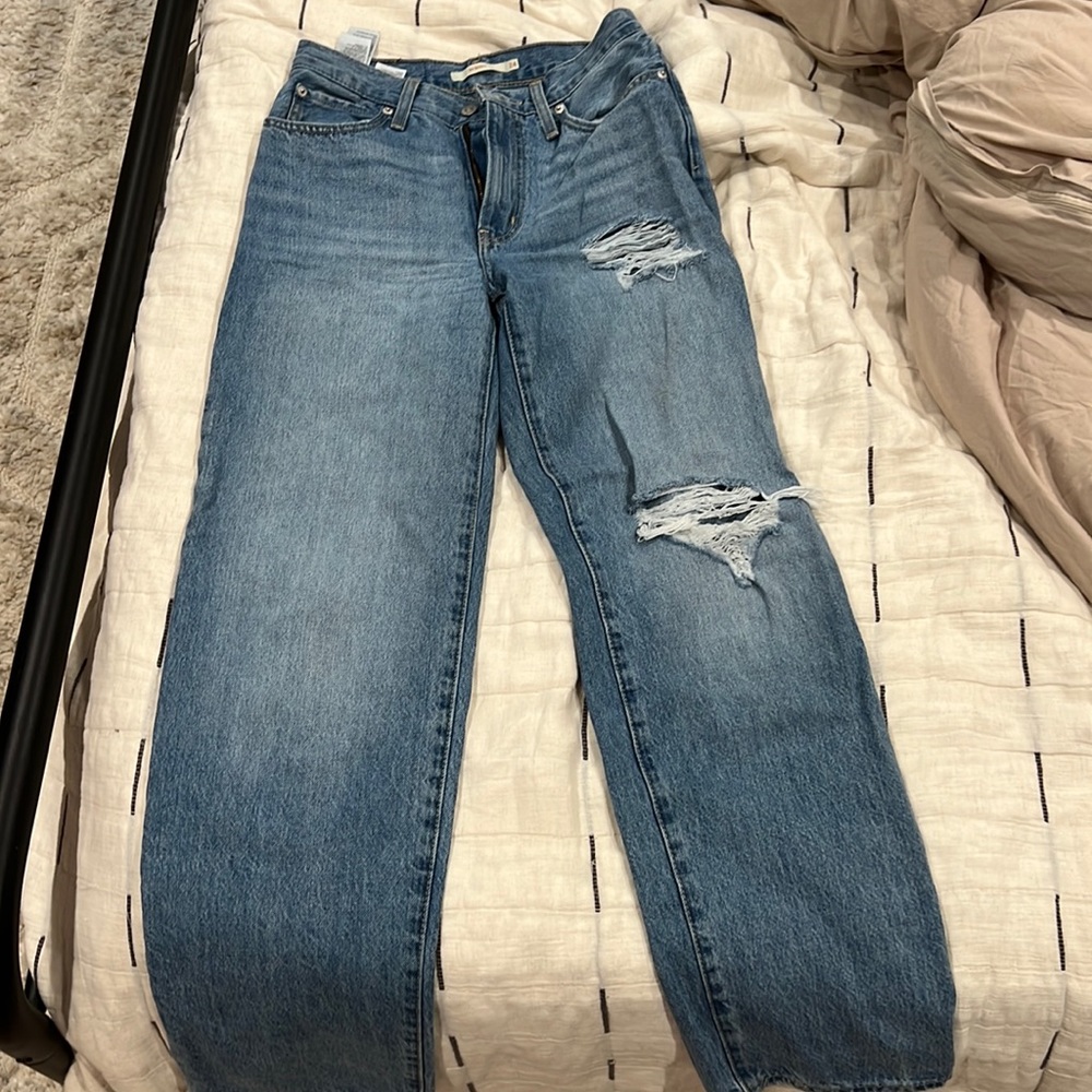 Levi 94 Baggy Jean 24